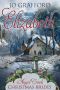 [Angel Creek Christmas Brides 08] • Elizabeth (Angel Creek Christmas Brides Book 8)